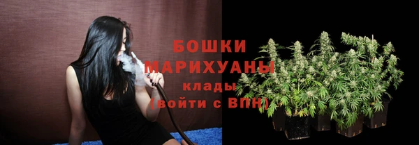 гидропоника Горняк