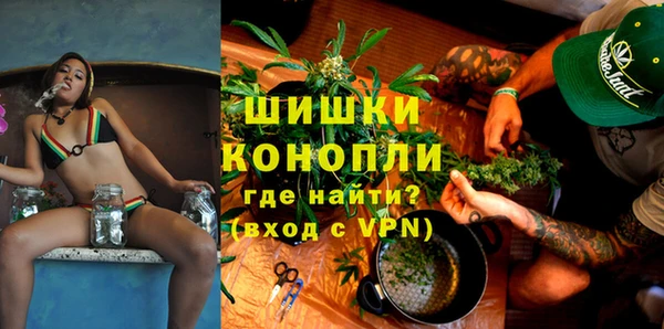 гидропоника Горняк